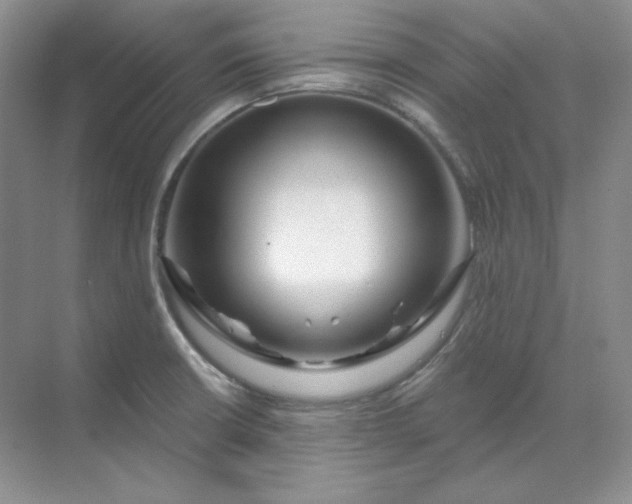 X0000070181426200606091455