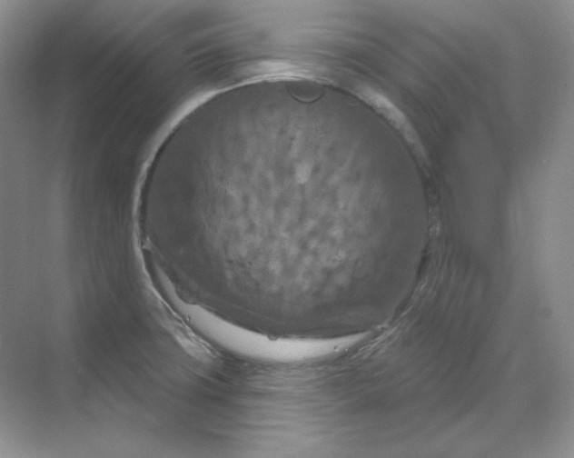 X0000070181427200606091455