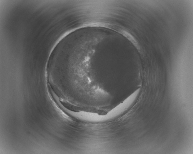 X0000070181428200606091455