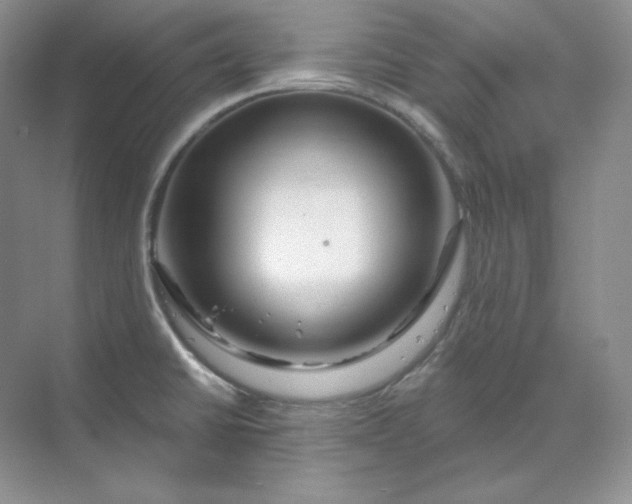 X0000070181430200606091455