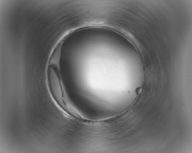 X0000070181432200606091455