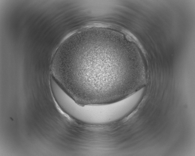 X0000070181433200606091455