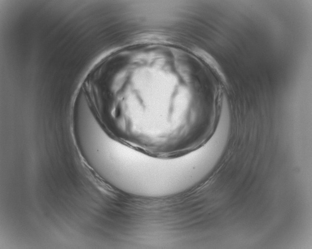 X0000070181435200606091455