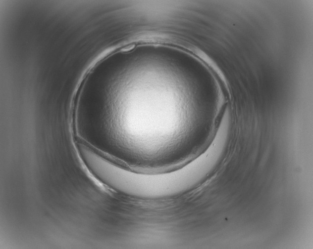 X0000070181437200606091455