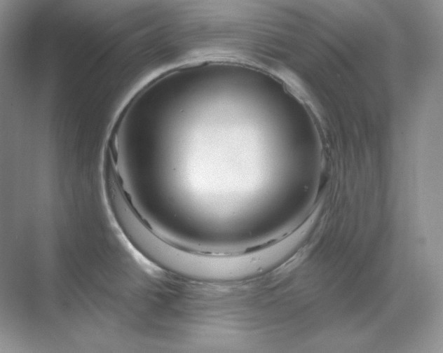 X0000070181438200606091455