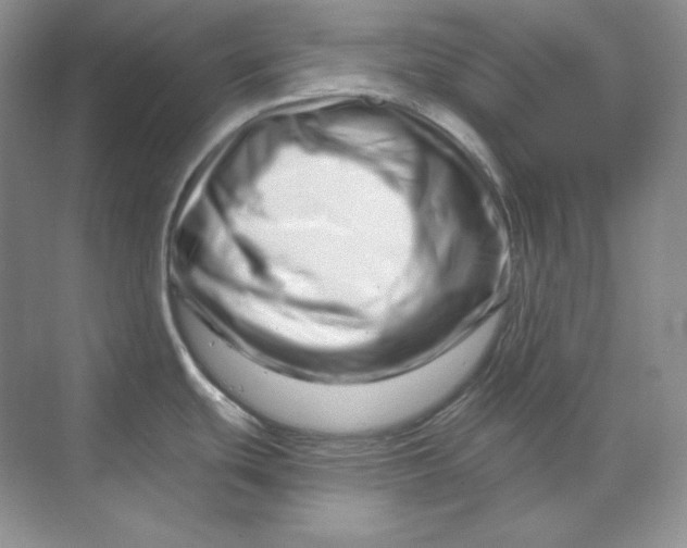 X0000070181439200606091455