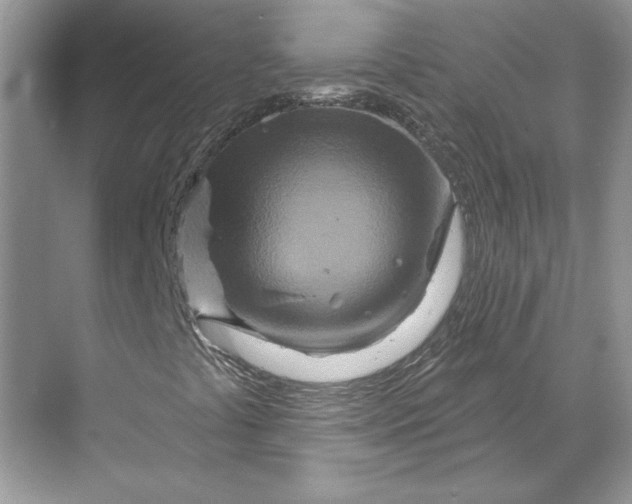 X0000070181441200606091454