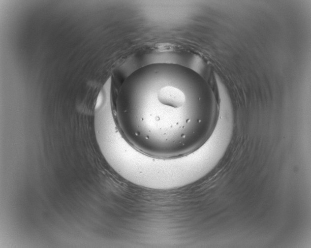 X0000070181443200606091454