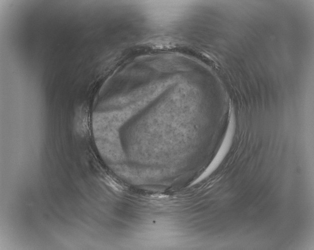 X0000070181444200606091454