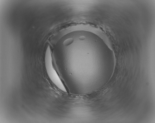 X0000070181445200606091454