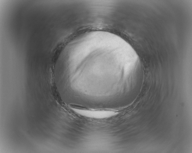 X0000070181446200606091454