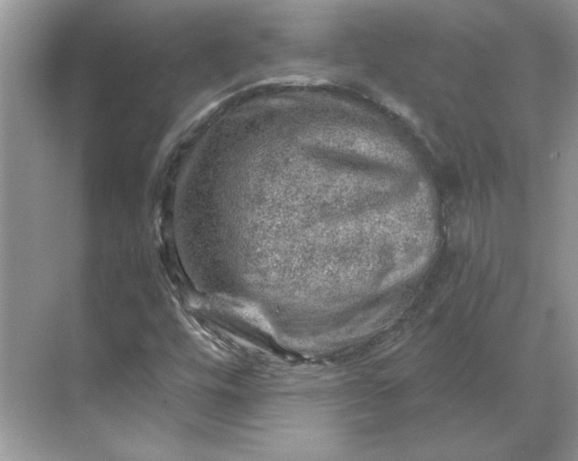 X0000070181448200606091454