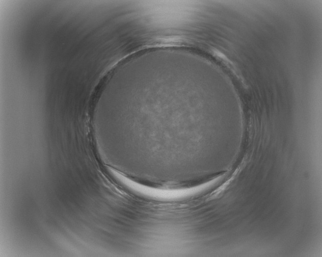 X0000070181449200606091454