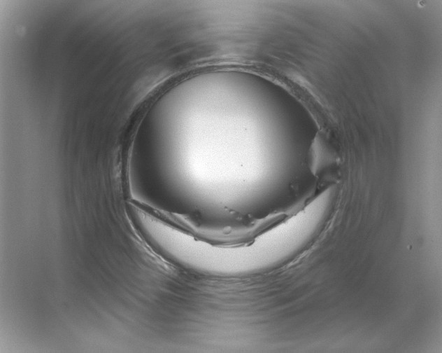 X0000070181450200606091454