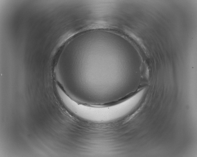 X0000070181453200606091454