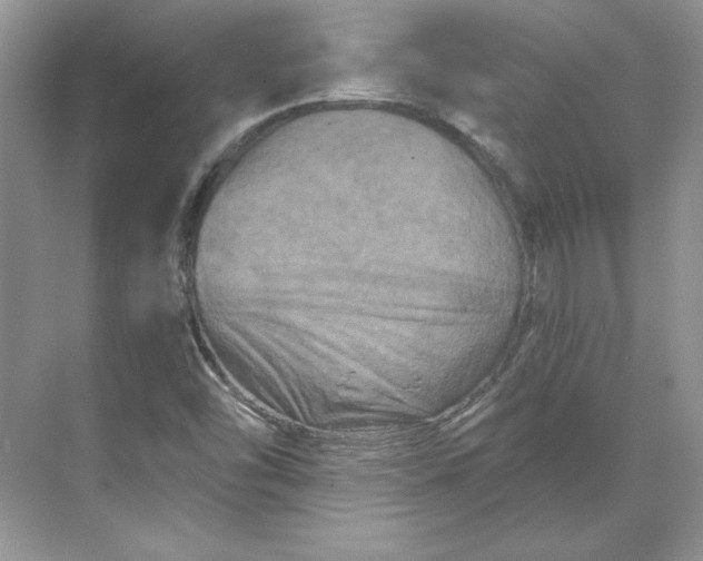 X0000070181454200606091454