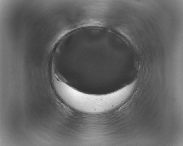 X0000070181455200606091454