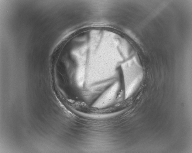 X0000070181456200606091454