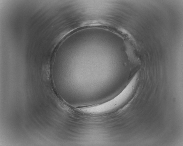 X0000070181457200606091454