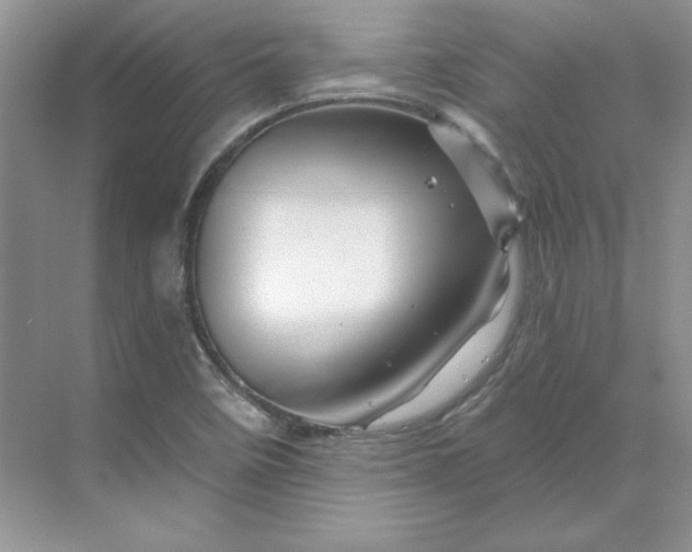 X0000070181458200606091454