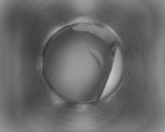 X0000070181461200606091454