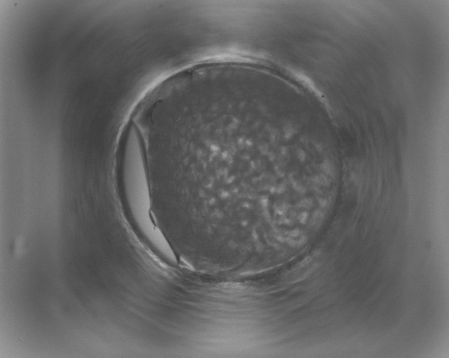 X0000070181463200606091454