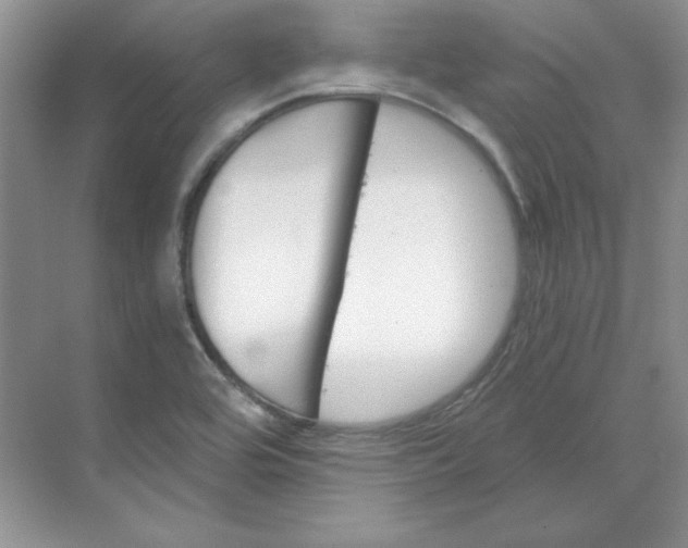 X0000070181464200606091454