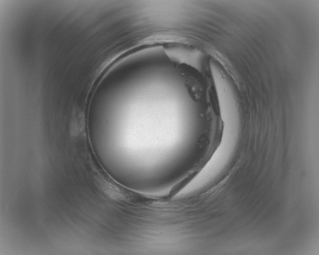 X0000070181465200606091454