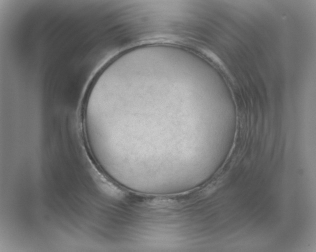 X0000070181466200606091454