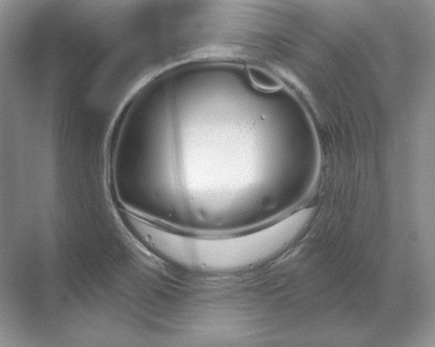 X0000070181467200606091454