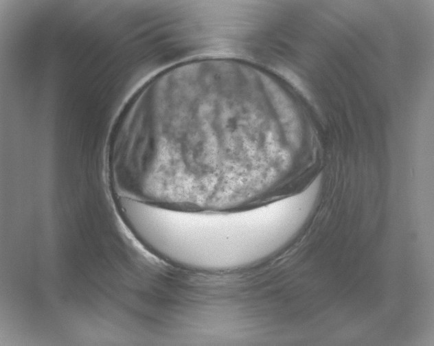 X0000070181468200606091454