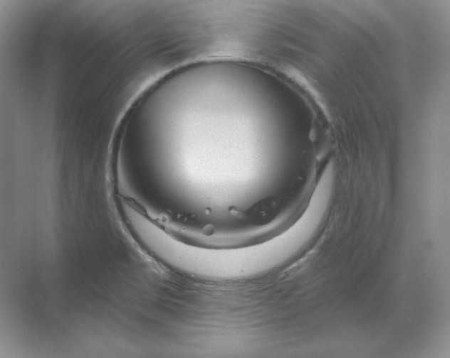 X0000070181469200606091454