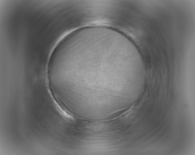 X0000070181470200606091454