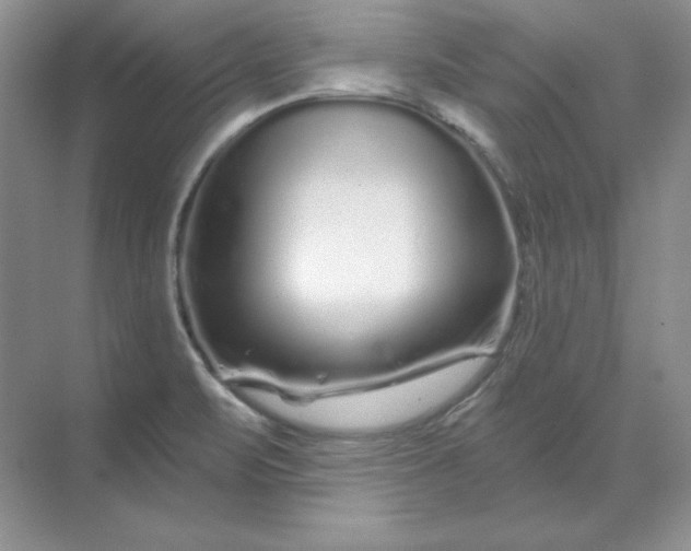 X0000070181471200606091454