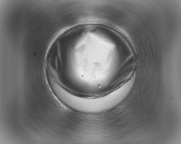 X0000070181472200606091454