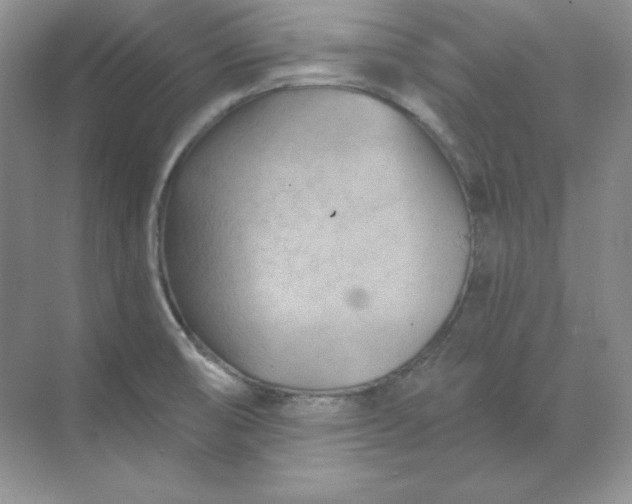 X0000070181474200606091454