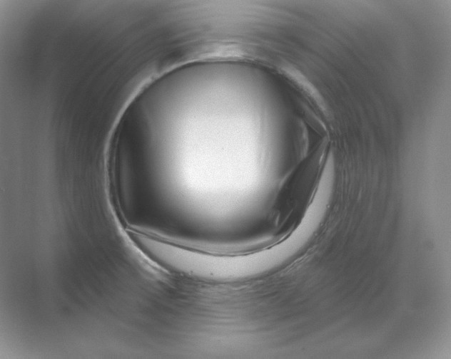 X0000070181475200606091454