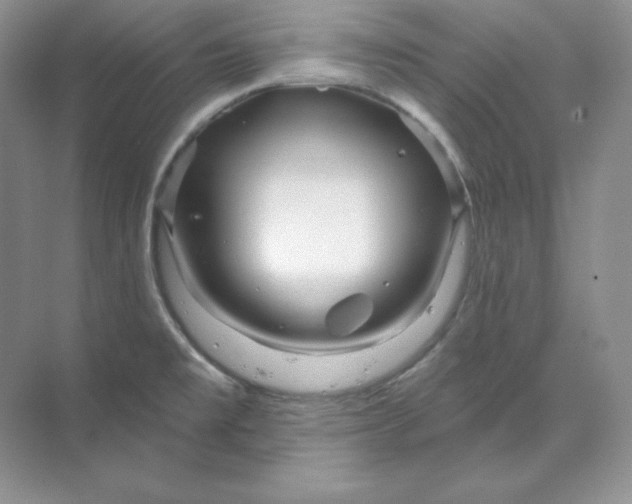 X0000070181477200606091454