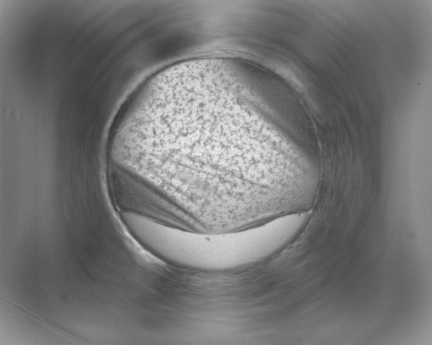 X0000070181478200606091454