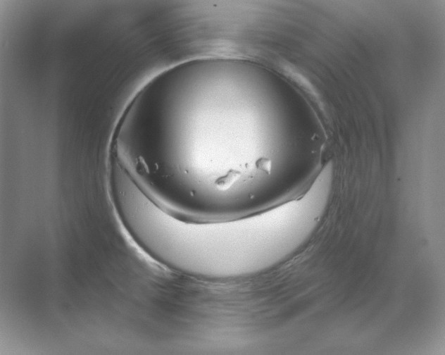 X0000070181479200606091454