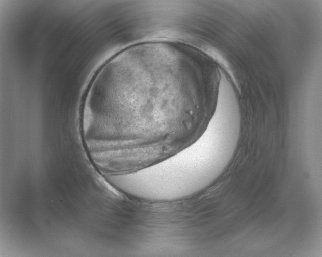 X0000070181480200606091454