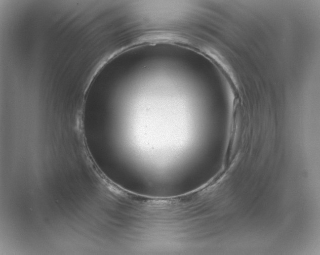 X0000070181481200606091454