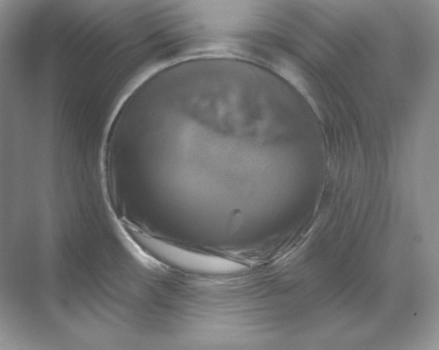 X0000070181482200606091454