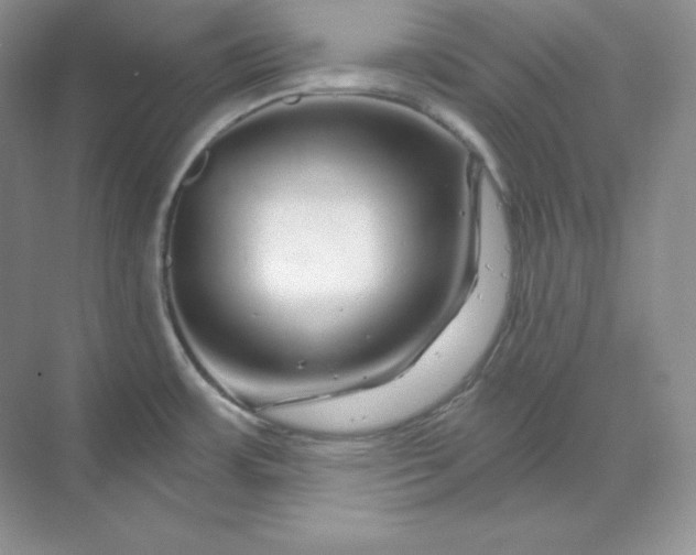 X0000070181483200606091454