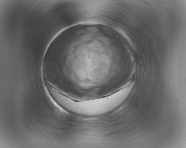 X0000070181484200606091454