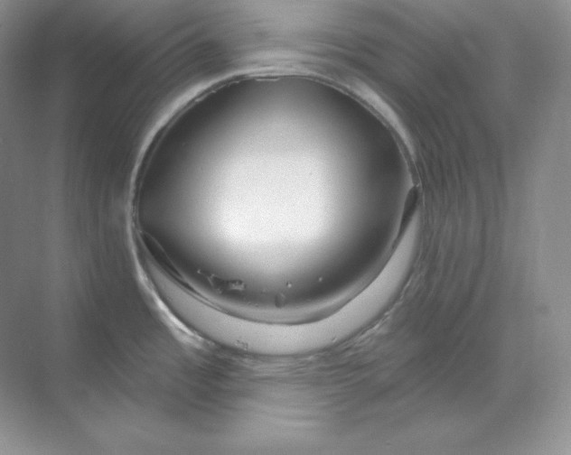 X0000070181485200606091453