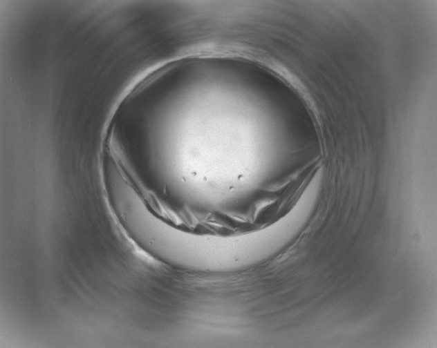 X0000070181486200606091453