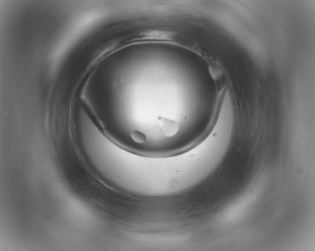 X0000070181487200606091453