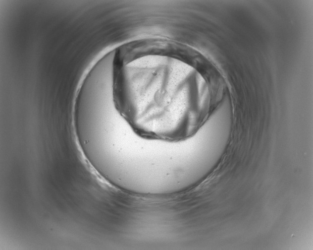 X0000070181488200606091453