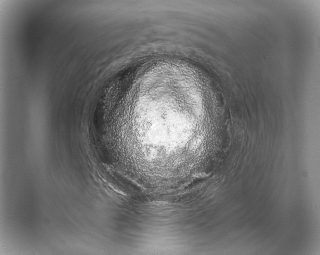 X0000070181489200606091453